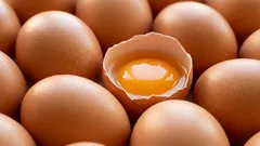 Kananmunien säilytys oikein: 3 yleistä virhettä, jotka pilaavat rakenteen