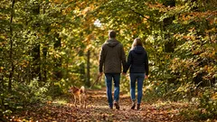 15 minuutin kävely voi olla askelmittaria tärkeämpi – näin parannat askeleiden laatua