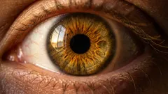 Silmien väri ja valo: miksi iiris näyttää eri päivinä eri sävyiseltä
