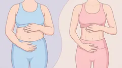 Bird-dog-liike: näin aktivoit syvät vatsalihakset turvallisesti kotona