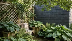 Mitä voi kasvattaa varjossa? 3–4 tunnin auringolla onnistuvat kasvit